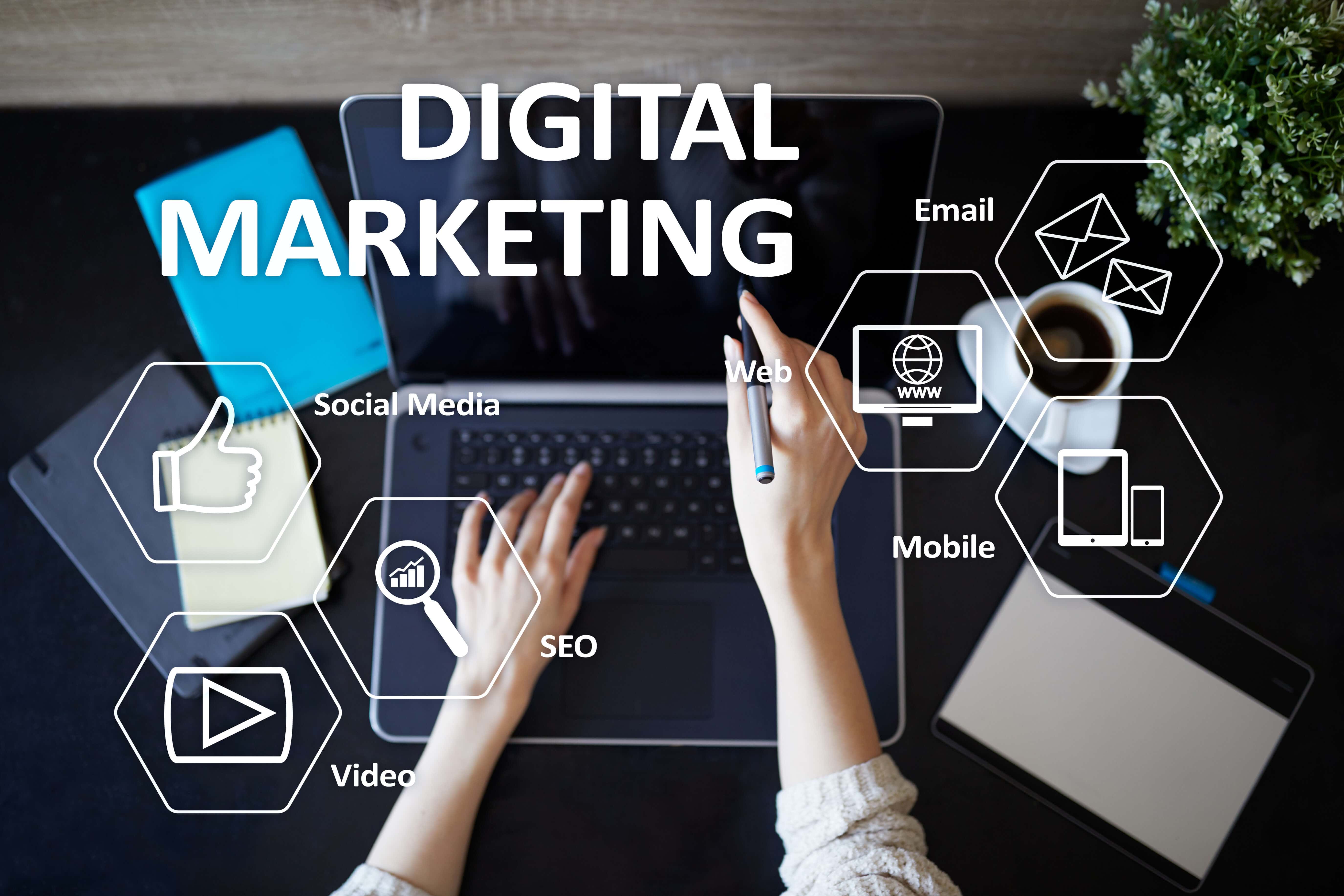 Digital Marketing Case Study, multi-channels marketing plan